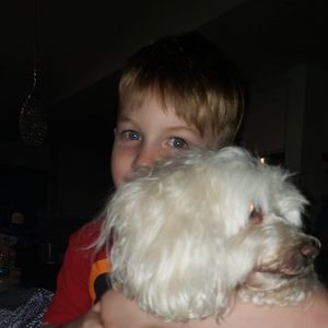 Meet your Posher, Dawn